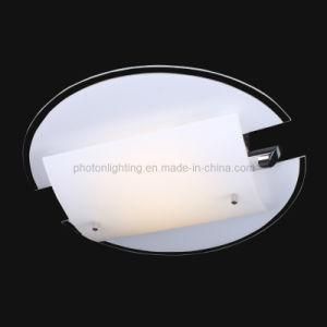 LED Ceiling Lamp / Ceiling Light / Ceiling Lamp (PT-LED 221/18W)
