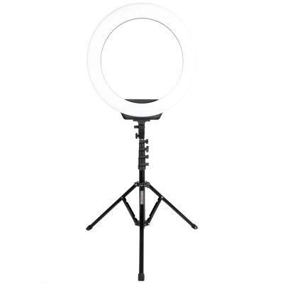 OEM Supplier Afi R219s 19 Inch Remote Control Fill Light Ring Light with Tripod Stand