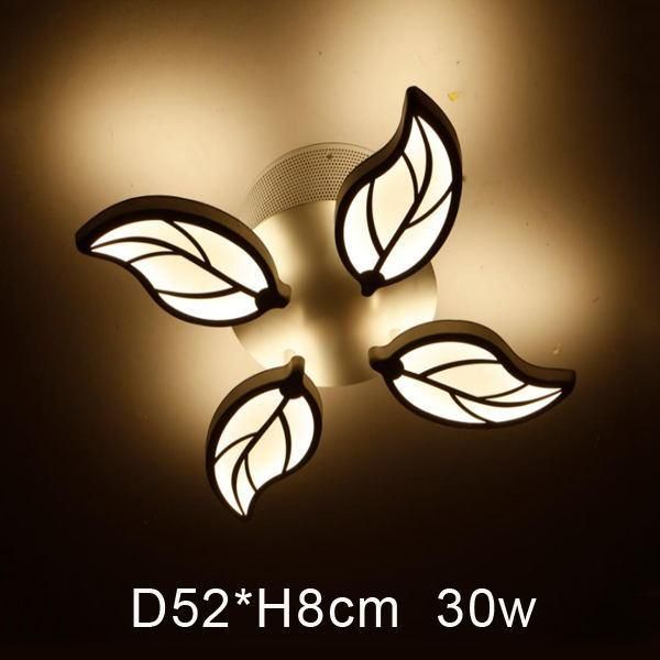 Decorative Kitchen Ceiling Lights Remote Control Dimming LED Ceiling Lights Lamp (WH-MA-50)