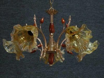 Pendant Lamp (D-51012-5)