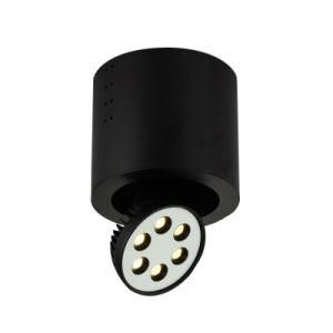 LED Ceiling Mounted Downlights (LBL091)