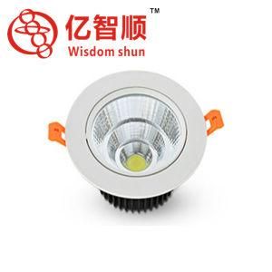 Wisdom Shun - LED Ceiling Light Hotel Lighting Downlight Spotlights Home Lighting