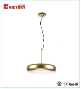 Design Gold Alumium Indoor Decorative LED Pendant Lamp for Dining Room