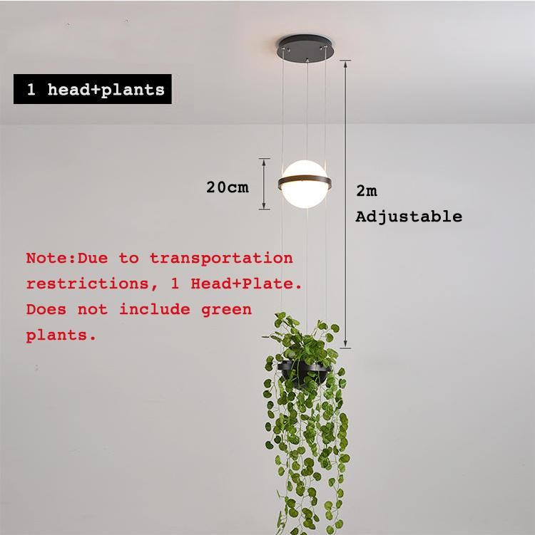 Plant Pendant Lights Modern Long Cord Plants Deco Chandelier Hanging Glass Ball Light (WH-GP-50)