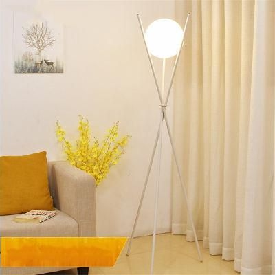 Modern LED Floor Lamp Iron Glass Ball Stand Lights for Living Room Nordic Bedside Floor Lamp (WH-MFL-114)