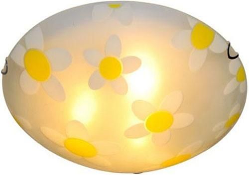 Indoor Glass Ceiling Light with E27 Lamp Holder for Home Decoration