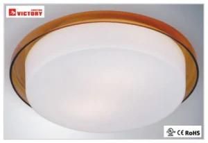 Round Glass Surface Modern Simple Decorative LED Ceiling Light