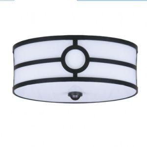 Round Shaped Ceiling Lamp for Home/Hotel Decor