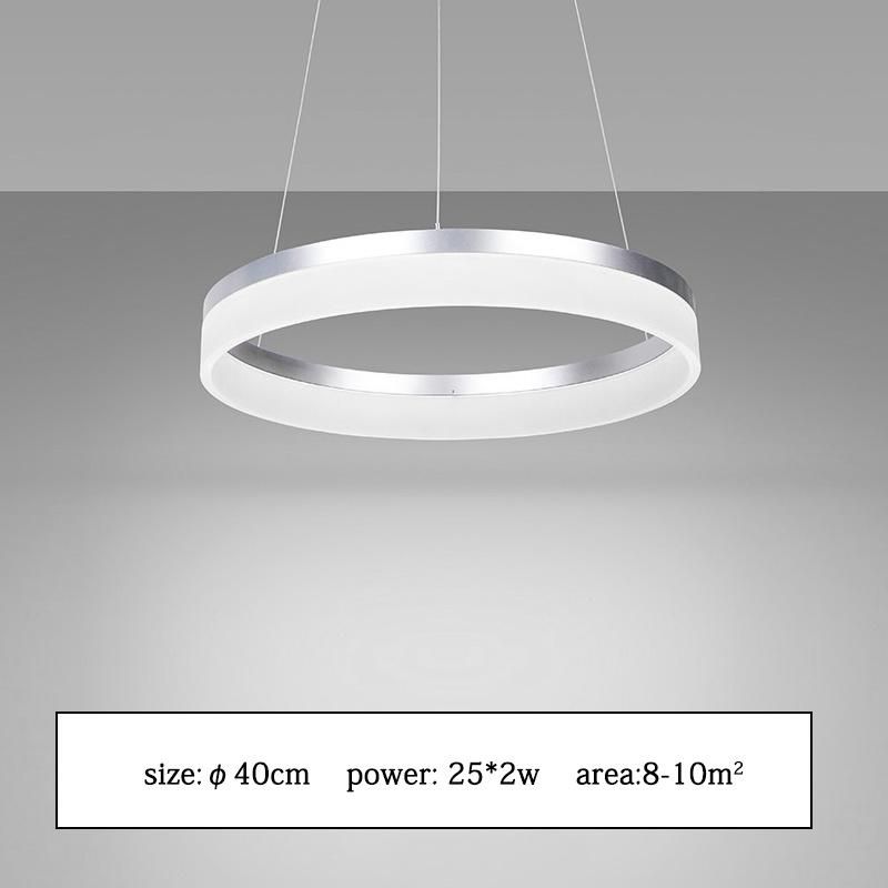 Modern Acrylic Pendant Lam Kitchen Olaug Modern Large Single Circle Ring Ceiling Light (WH-AP-355)