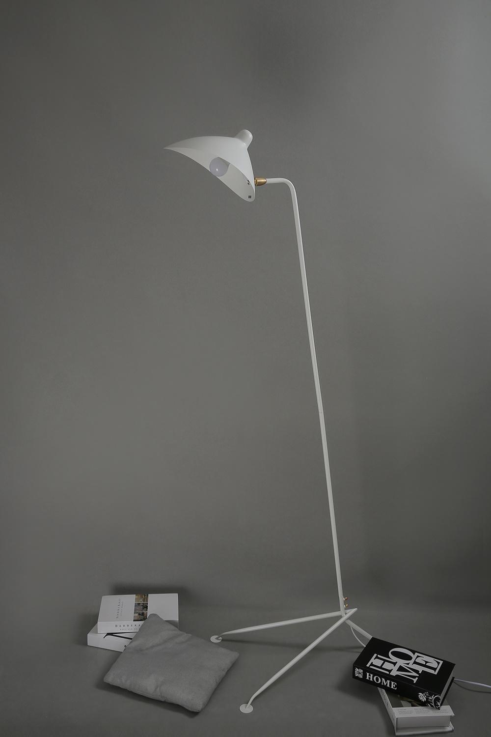 Tooth Dancing Claw Floor Lamp