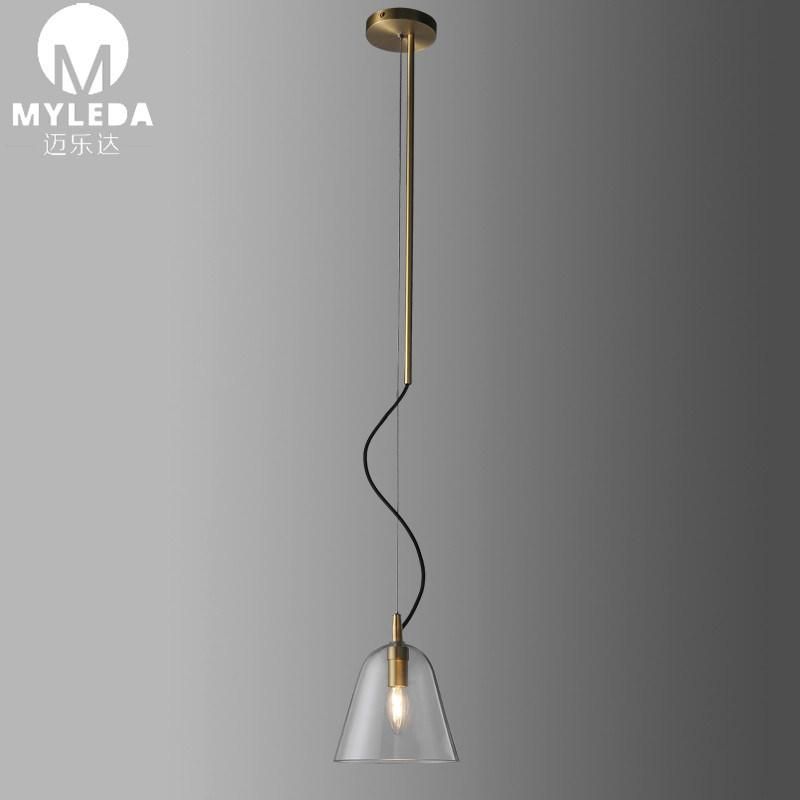 Hand Blown Glass Clear Glass Pendant Light Fixture