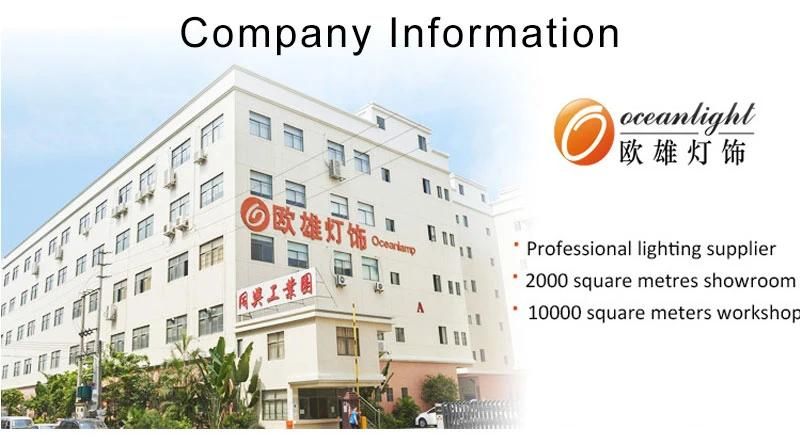2020 Year China Manufacturer Supply New Design Ceiling Lighting