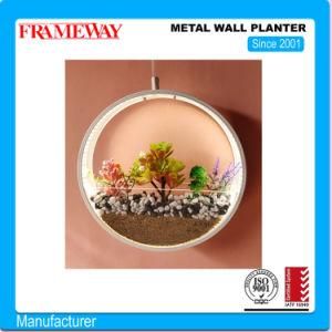 Custom Manufacturing Home Deco Metal Pendant Planter with Arylic Water Tank Powder Coated with LED Lamp