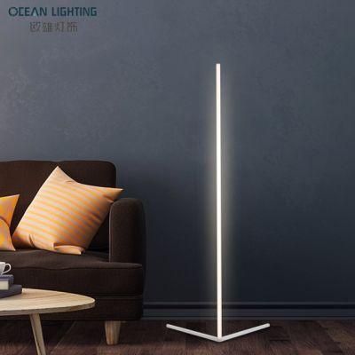 Hot-Sales Indoor Decor Modern Nordic Luxury Bedroom Living Room LED Lighting Floor Lamp