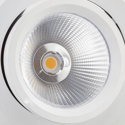 30W 3000K 4000K 5000K CRI&gt;90 COB Waterproof Dali Dimmable Gimbal LED Downlight