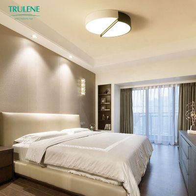 Ceiling LED Light Modern Home Hotel Ceiling Lamp LED Light