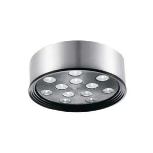 LED Indoor Downlight (LDC897)