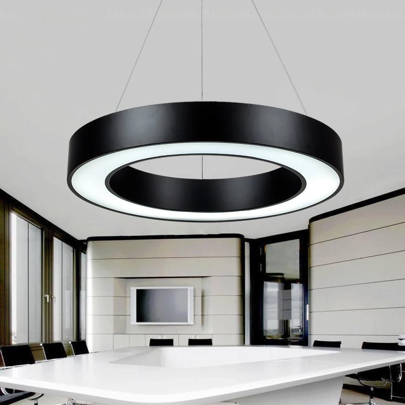 Custom Made Diameter Size Round Ring Shape LED Linear Pendant Light