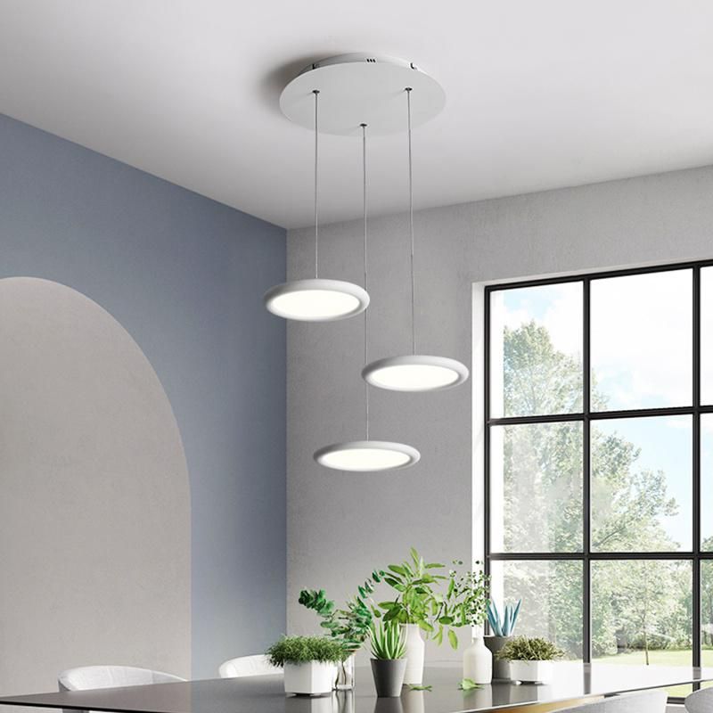 Industrial Style Ring Pendant Lamp Bedroom Dining Room restaurant Lamp