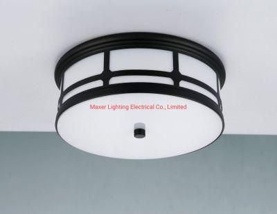 Ceiling Light 12&quot; E27 Black, Chrome, Ab Color, ETL