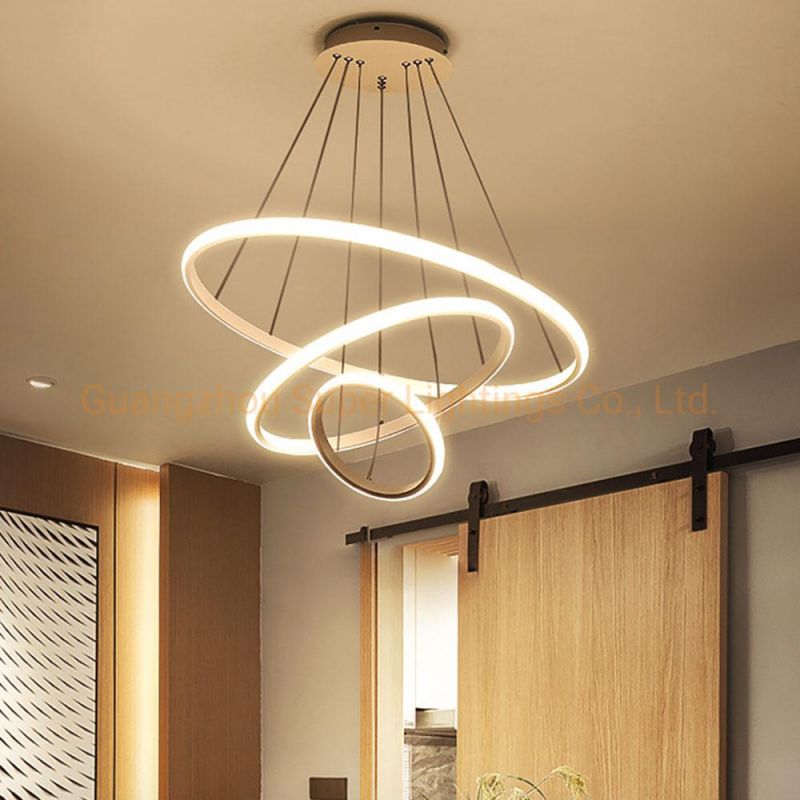 Modern Circular LED Lights for Home Pendant Lighting