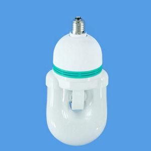 Enlam U Shape Compact Fluorescent Lamp