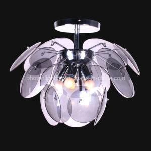 Ceiling Light / Ceiling Lamp (PT-E27 220/5)