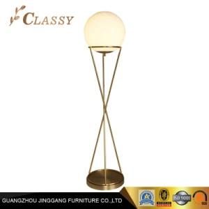 Round Shape Golden Stainless Steel Base Floor Lamp
