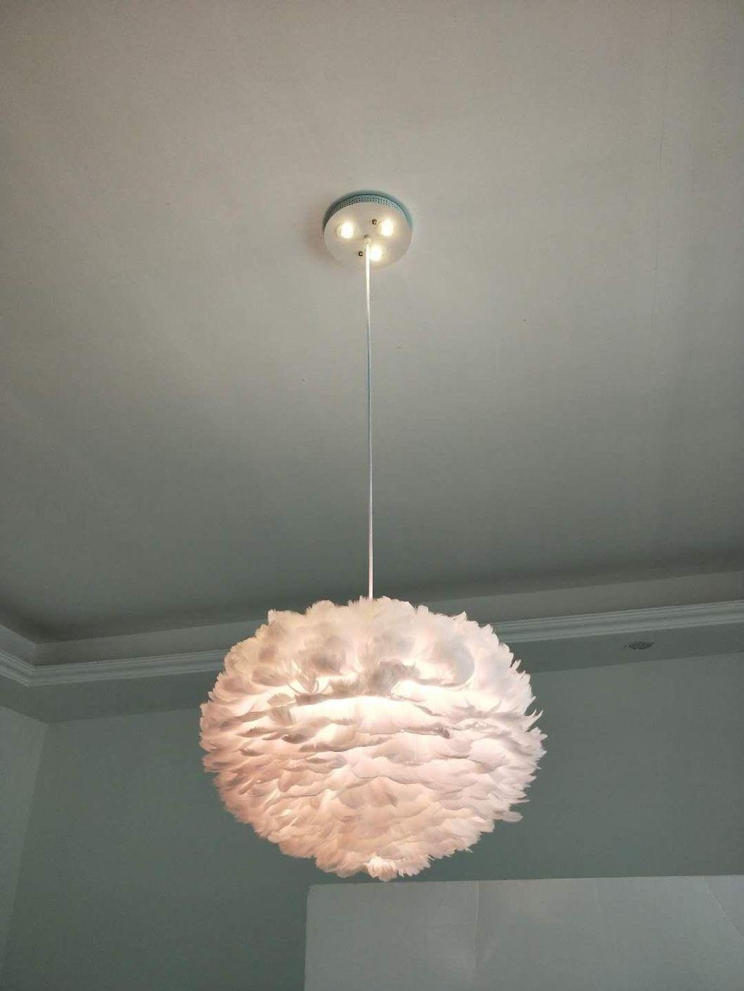 Round Feather Pendant Lamp for Kids Room Children Room Indoor Home Decor (WH-AP-78)