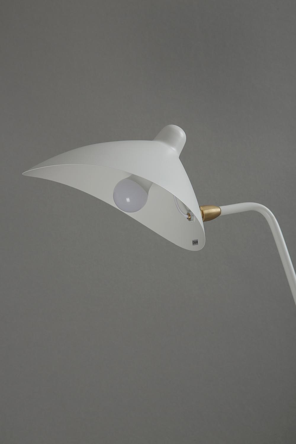 Tooth Dancing Claw Floor Lamp
