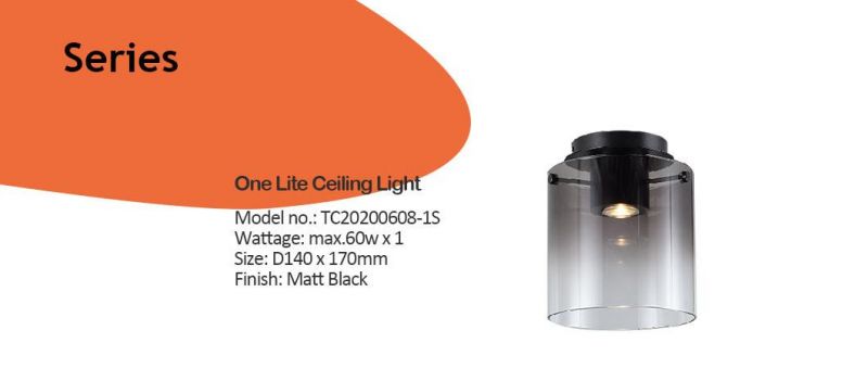 One Lite GU10 Smoke Glass Pendant Lamp