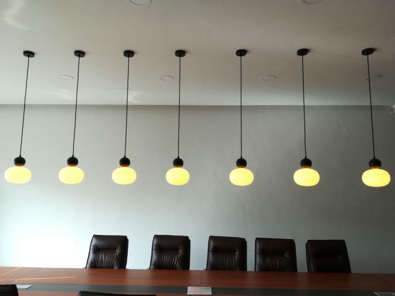 Feather Shade LED Light Bulb Pendant Lighting Lamp