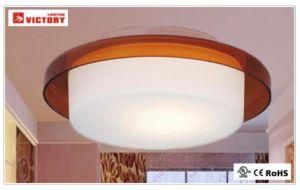 High Quality Decoration Modern Glass Ceiling LED Light