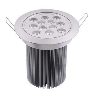 LED Down Light (BS-TH24W-C001)