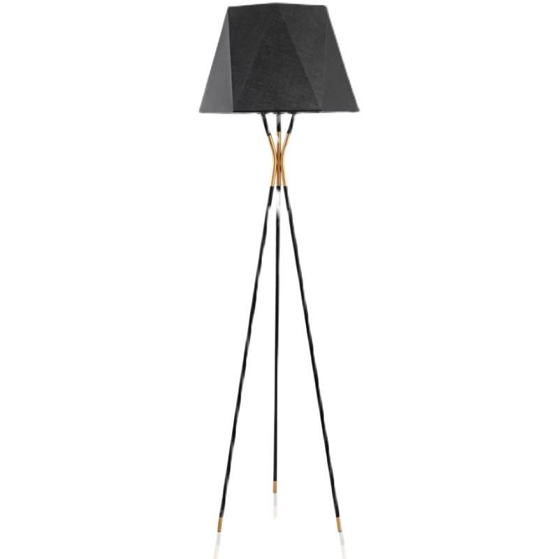 Nordic Standing Light for Home Modern Lamps Minimalist Corner Lamp Modern Black Tripod Floor Lamp