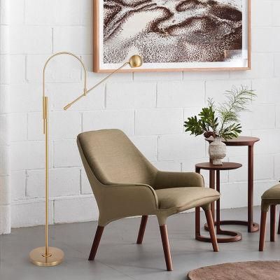 LED Living Room Standing Luminaires Iron Lights Bedside Illumination Home Deco Modern Floor Lamp (WH-MFL-45)