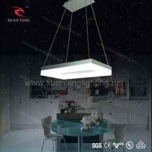 Metal Hanging LED Pendant Lamp (Mv20363)