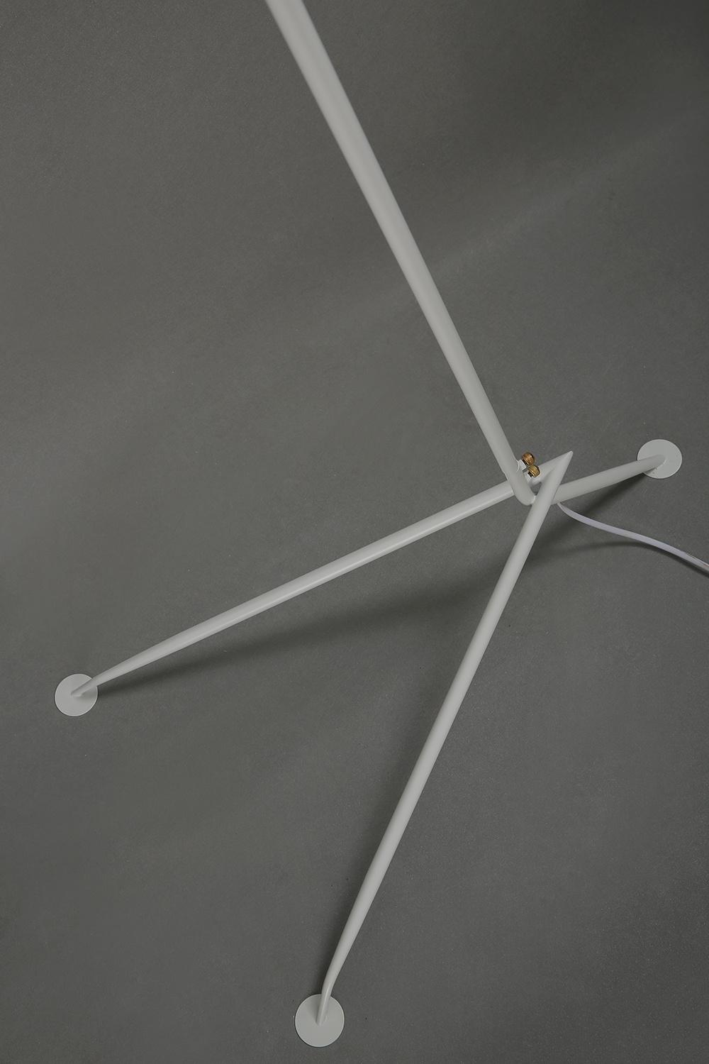Tooth Dancing Claw Floor Lamp