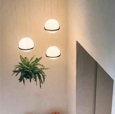 LED Plant Pendant Light Glass Ball Lamp Creative Art Pendant Lamp Country Restaurant Cafe Bar Suspension Lamp (WH-AP-125)