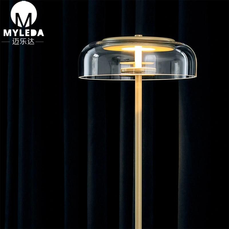 Morden Brass Clear Glass Shade Standing Reading Floor Lamp
