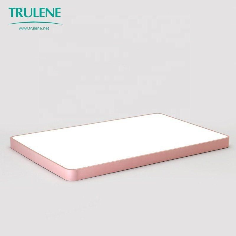 Rectangular Living Room Lamp for Ceiling Modern LED Ceiling Light