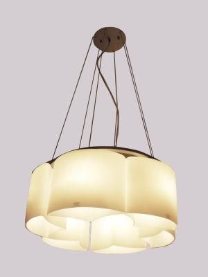 Modern Design Pendant Lamp (PD-1332)