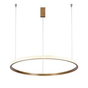 Special Discount for The LED Modern Light Modern Circular LED Pendant Light