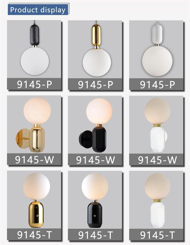 Modern Ball Shape Glass Hanging Lighting for Home