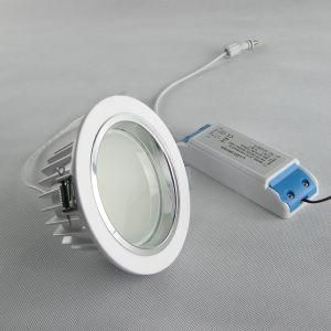 30W LED Ceiling Lamp / Diameter 162mm LED Down Light / Diameter 162mm LED Down Lamp