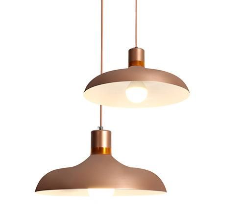 Modern Indoor Chandelier Pendant Lamp for Interior Lighting