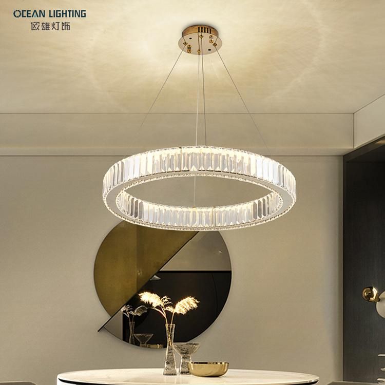 2022 New LED Ring Chandelier for Sitting Room Omd5051/40 Dia40cm