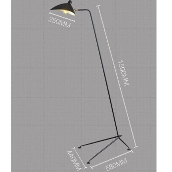 Tooth Dancing Claw Floor Lamp