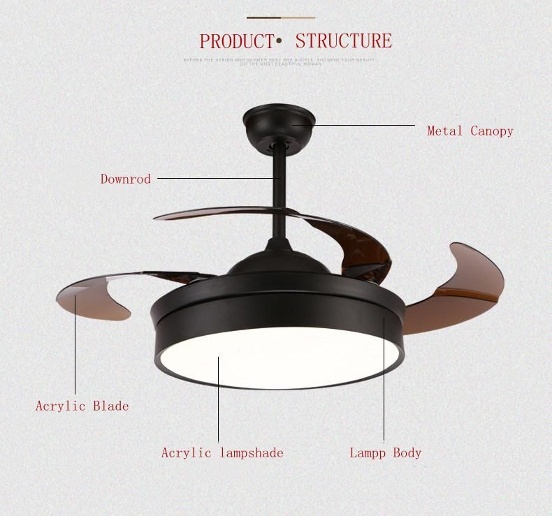 Nordic Minimalist Indoor Lighting Bedroom with Remote Control LED Ceiling Fan