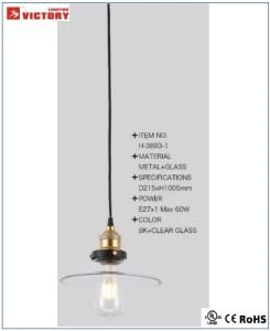 Decoration Project Single Glass Pendant Lamp with Ce
